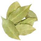 Лавровый лист