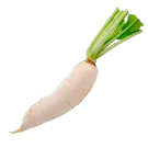 Дайкон
