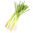 Лимонное сорго