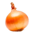 Репчатый лук