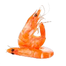 Креветки