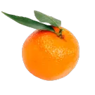 Мандарины